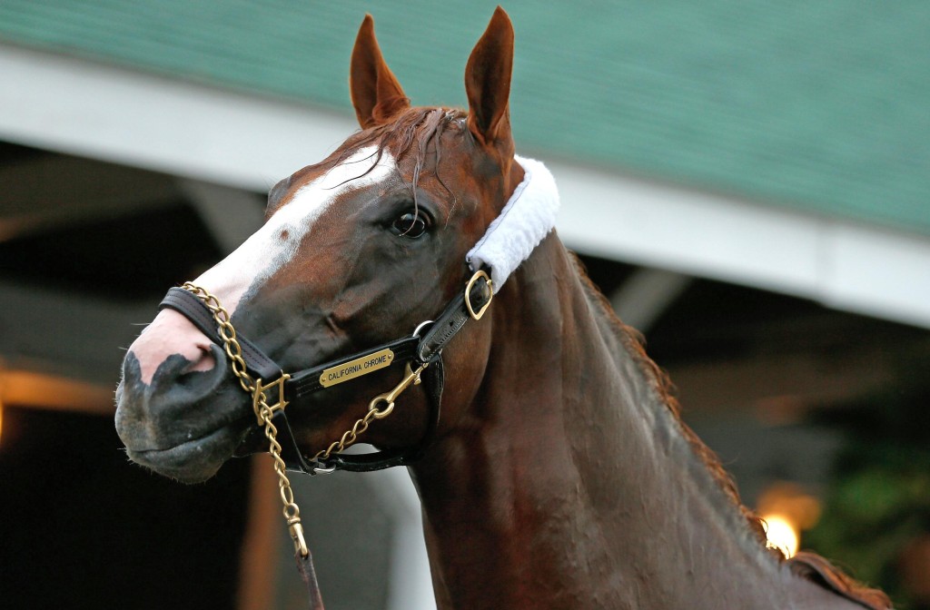 California Chrome in the Breeders Cup Classis