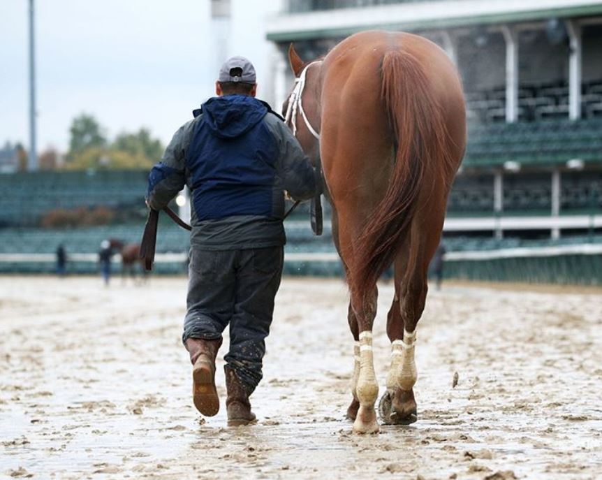 Churchill Downs Horse racing deaths drugs dirt Kentucky Derby