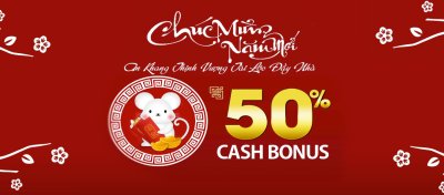 NFL Playoffs & Super Bowl 50% Tiền Mặt cho người Việt