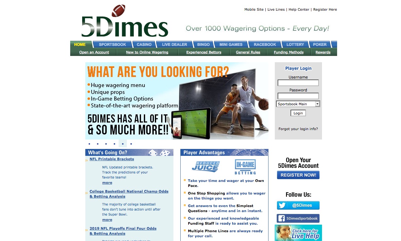 Chat 5dimes live What's Next