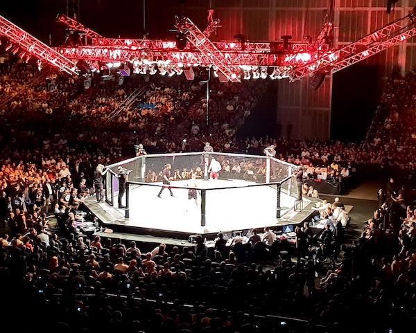 UFC  291 Main Event Poirier Gaethe
